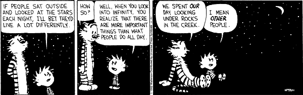 Calvin and Hobbis cartoon